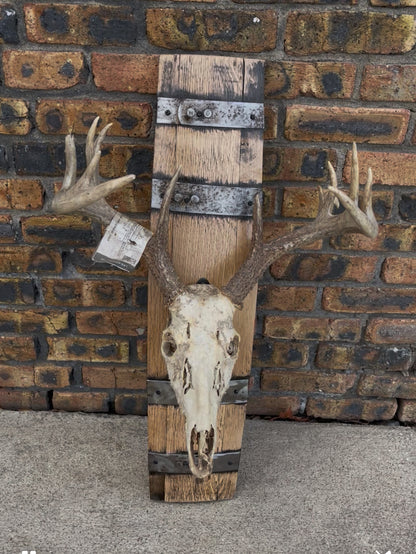 Barrel Stave Deer Skull Mount