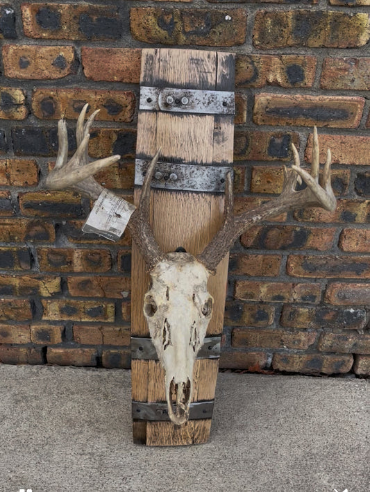 Barrel Stave Deer Skull Mount